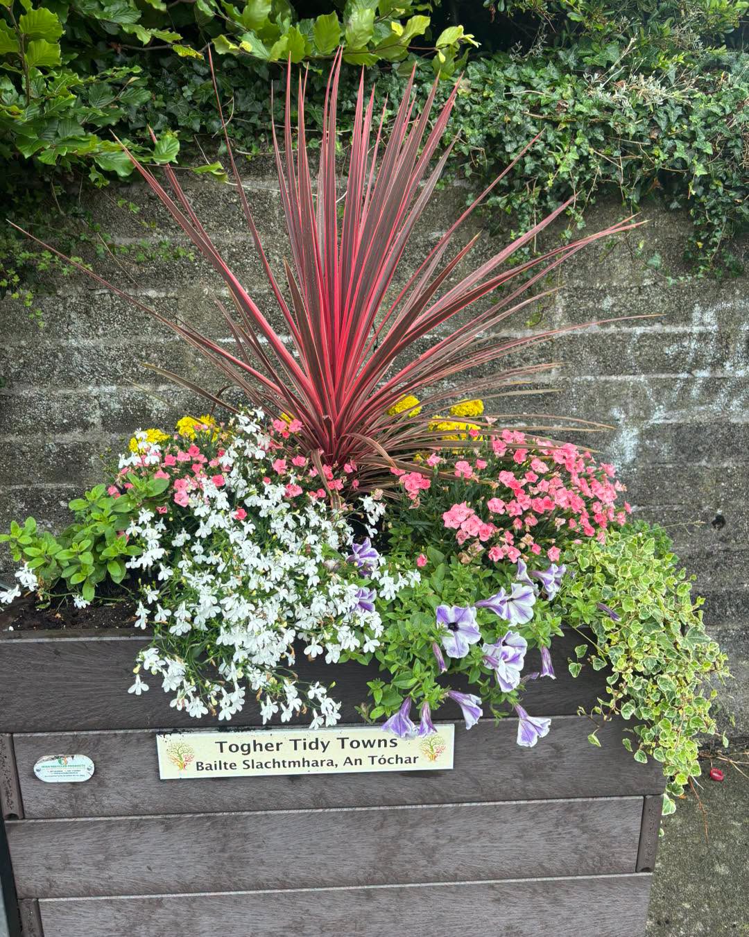 Watering Our Community Planters