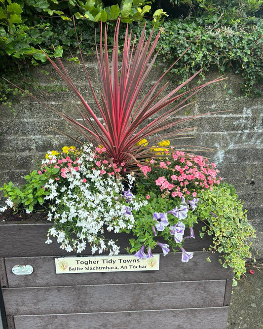 Watering Our Community Planters