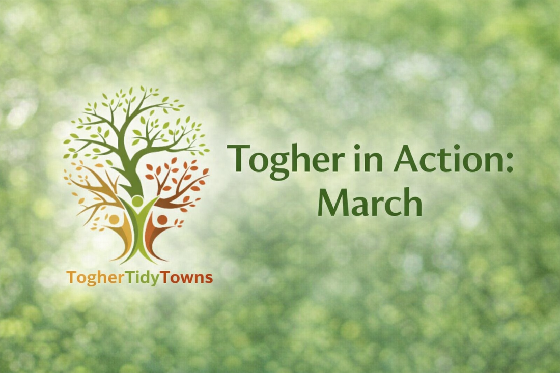 Community in Action: March