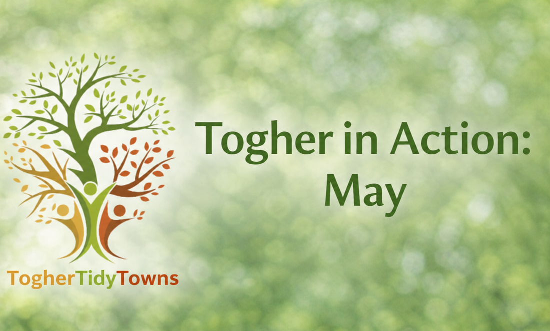 Community in Action: May