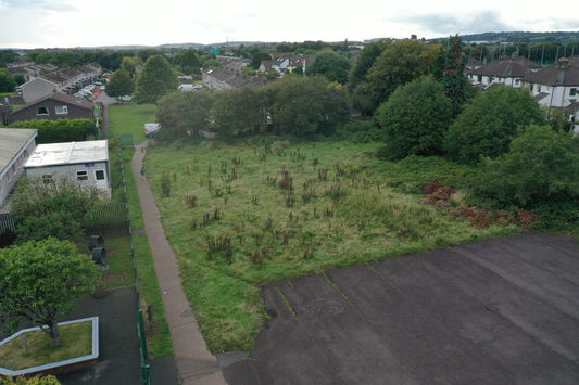 Community Meadow Project